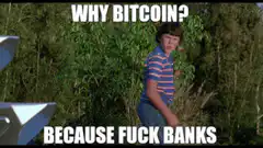 Why Bitcoin Because Fuck Banks