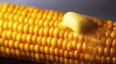 Butter melting on corn