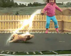 girl zaps dog with lightning