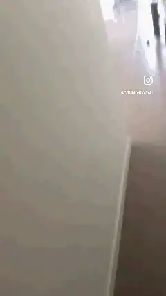 Cat peeking through door slats