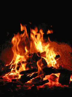 Campfire burning at night