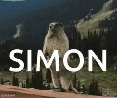 Marmot screaming with text Simon