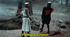 Tis but a scratch