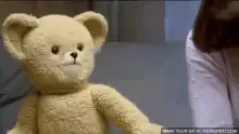 Ted the teddy bear