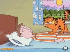Garfield wakes Jon up