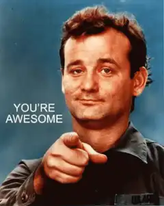 Bill Murray You're Awesome