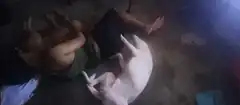 man lying on floor with white dog
