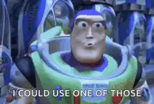 Buzz Lightyear I Could Use One Of Those
