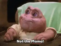 Baby Yoda Not the Mama