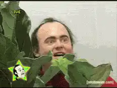 Danny DeVito eating leaves
