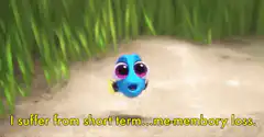 Dory me-memory loss