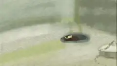 furry creature emerges from drain
