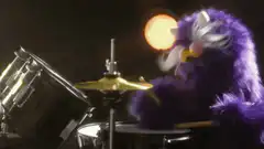 Animal Band performing on stage