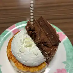 Chocolate and cream dessert on plate