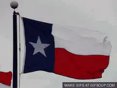 Texas flag waving on pole