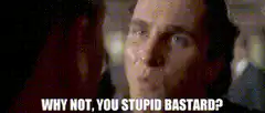 Why Not You Stupid Bastard