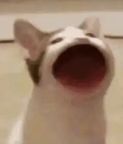 dog screaming with mouth wide open