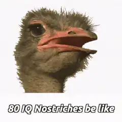 80 IQ Nostriches be like