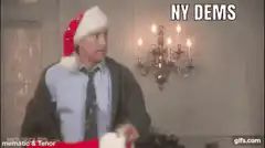 NY Dems catch it with the coat