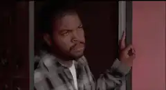 Ice Cube door slam