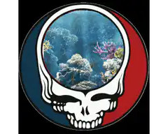 Grateful Dead skull with underwater scene