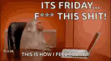Monkey throws laptop Friday