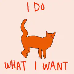 Orange cat does what it wants