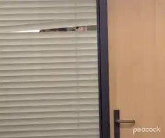 Man peeking through blinds