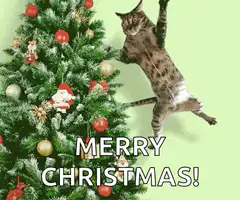 Cat jumps off Christmas tree