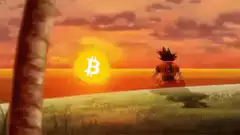 Goku watching the Bitcoin sunset