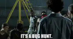 It's a Bug Hunt