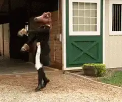 horse head man dancing
