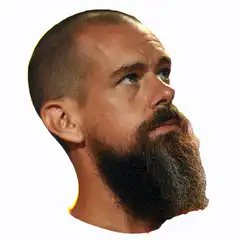 Bearded man looking up