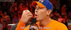 John Cena You Can't See Me Bruh