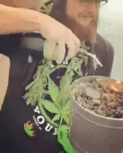 Man lights pot of weed and blows smoke