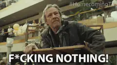 Homecoming TV show F*cking Nothing