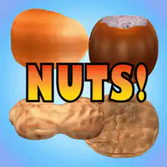 Nuts! with various nuts