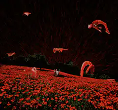 falling people in red field