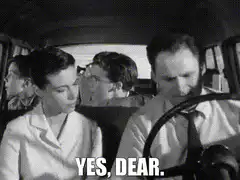 Yes dear car scene