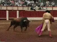 Bull flips over matador's cape