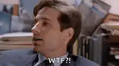 David Duchovny facepalm WTF