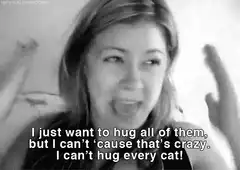 Woman wants to hug all cats