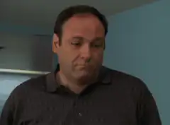 Tony Soprano disappointed face
