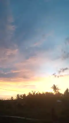 Sunset over palm trees