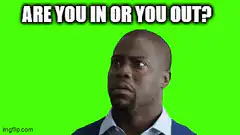 The Rock Are You In Or Out