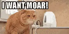 Cat screaming I want moar
