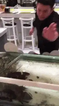 man grabs lobster from tank