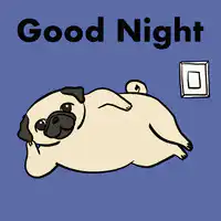 Pug falls asleep and light turns off