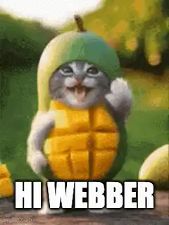 Hi Webber Mango Cat