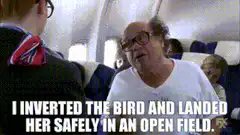 I inverted the bird and landed her safely